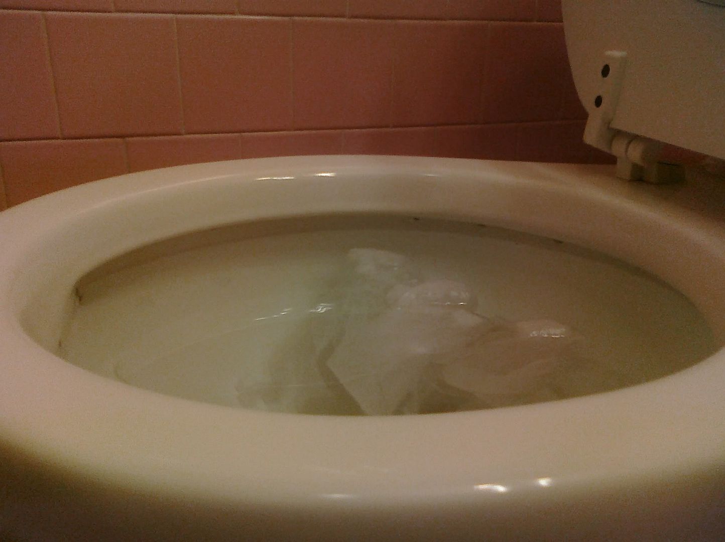 Clogged Toilet Bowl Photo by Fanman22 Photobucket